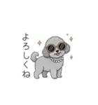 セレブに憧れるトイプードル（個別スタンプ：12）