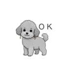 セレブに憧れるトイプードル（個別スタンプ：13）