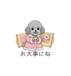 セレブに憧れるトイプードル（個別スタンプ：14）