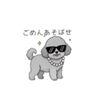 セレブに憧れるトイプードル（個別スタンプ：16）