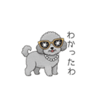 セレブに憧れるトイプードル（個別スタンプ：18）