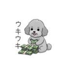 セレブに憧れるトイプードル（個別スタンプ：21）