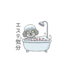 セレブに憧れるトイプードル（個別スタンプ：26）