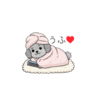 セレブに憧れるトイプードル（個別スタンプ：28）