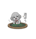 セレブに憧れるトイプードル（個別スタンプ：35）