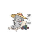 セレブに憧れるトイプードル（個別スタンプ：37）