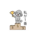 セレブに憧れるトイプードル（個別スタンプ：38）