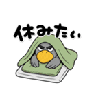 目ヂカラ強め☆男前なハシビロコウ（個別スタンプ：40）