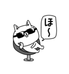 じろりねこ敬語毎日シンプル（個別スタンプ：11）