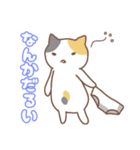 乙女猫の住み家（個別スタンプ：16）