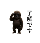 【踊る】イケメンコゴリラ（個別スタンプ：2）