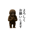 【踊る】イケメンコゴリラ（個別スタンプ：9）