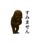 【踊る】イケメンコゴリラ（個別スタンプ：19）