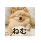 ぐでぐでわんこ（個別スタンプ：1）