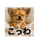 ぐでぐでわんこ（個別スタンプ：3）