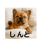 ぐでぐでわんこ（個別スタンプ：5）