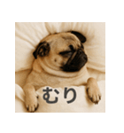ぐでぐでわんこ（個別スタンプ：8）
