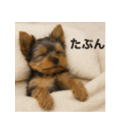 ぐでぐでわんこ（個別スタンプ：9）