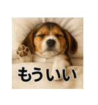 ぐでぐでわんこ（個別スタンプ：12）