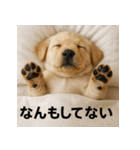 ぐでぐでわんこ（個別スタンプ：13）