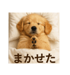 ぐでぐでわんこ（個別スタンプ：14）