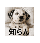 ぐでぐでわんこ（個別スタンプ：17）