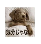 ぐでぐでわんこ（個別スタンプ：18）