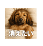 ぐでぐでわんこ（個別スタンプ：19）