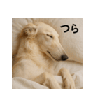 ぐでぐでわんこ（個別スタンプ：20）