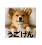 ぐでぐでわんこ（個別スタンプ：22）