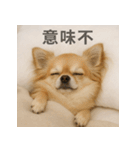 ぐでぐでわんこ（個別スタンプ：23）