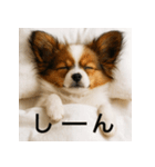 ぐでぐでわんこ（個別スタンプ：24）