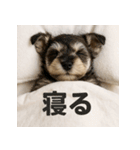 ぐでぐでわんこ（個別スタンプ：26）