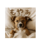 ぐでぐでわんこ（個別スタンプ：27）