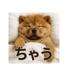 ぐでぐでわんこ（個別スタンプ：28）