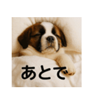 ぐでぐでわんこ（個別スタンプ：29）
