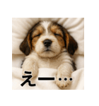 ぐでぐでわんこ（個別スタンプ：30）