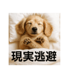 ぐでぐでわんこ（個別スタンプ：34）