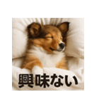 ぐでぐでわんこ（個別スタンプ：35）