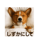 ぐでぐでわんこ（個別スタンプ：37）