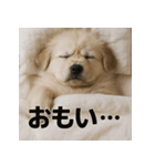 ぐでぐでわんこ（個別スタンプ：38）