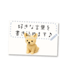 書き込める♥フロッキーわんこフレーム（個別スタンプ：5）