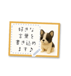書き込める♥フロッキーわんこフレーム（個別スタンプ：15）