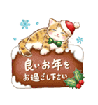 ちっちゃい猫のあけおめスタンプ(再販)（個別スタンプ：9）