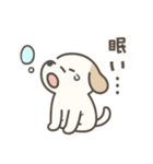もちまる犬（個別スタンプ：37）