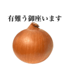 【ビジネス敬語】 国産玉ねぎ（個別スタンプ：1）