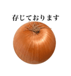 【ビジネス敬語】 国産玉ねぎ（個別スタンプ：5）