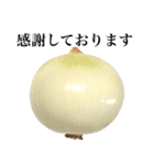 【ビジネス敬語】 国産玉ねぎ（個別スタンプ：7）