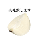 【ビジネス敬語】 国産玉ねぎ（個別スタンプ：10）