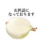 【ビジネス敬語】 国産玉ねぎ（個別スタンプ：11）